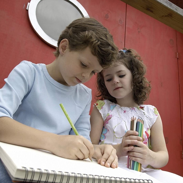 Stabilo GREENColors Matite Colorate Astuccio in Cartone ARTY da 12 Pastelli dettagli