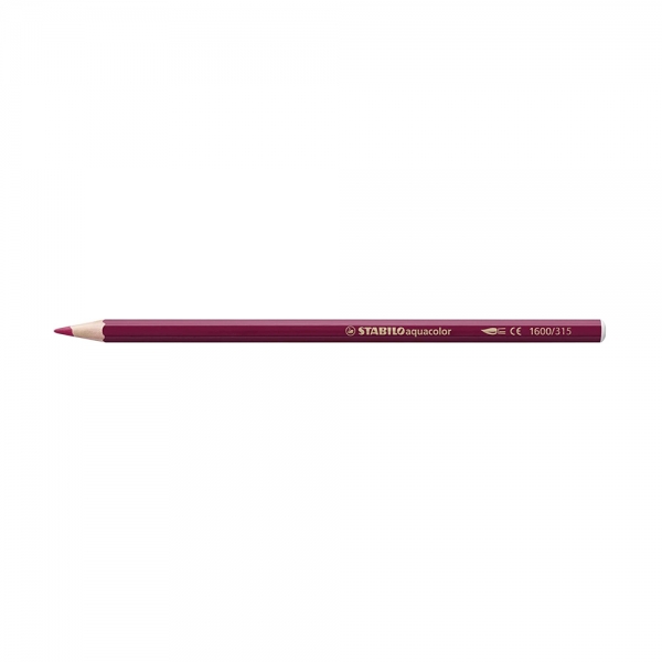 Stabilo Aquacolor Matite Colorate Acquerellabili Astuccio in Cartone da 24 Pastelli zoom