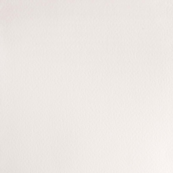 winsor-newton-professional-colore-ad-acquerello-14-ml-bianco-cinese-150-dettagli