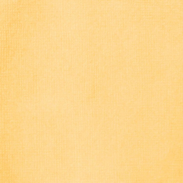 liquitex-professional-acrylic-ink-colore-acrilico-liquido-giallo-ossido-416-dettagli