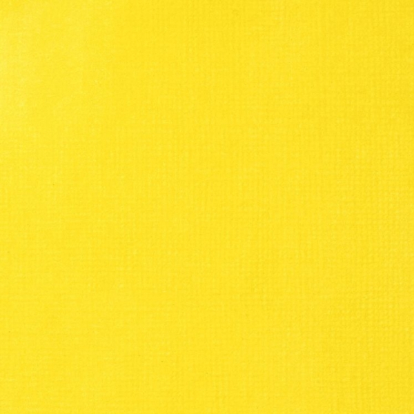 liquitex-professional-acrylic-ink-colore-acrilico-liquido-giallo-azo-medio-412-dettagli