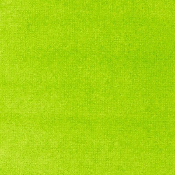 liquitex-professional-acrylic-ink-colore-acrilico-liquido-verde-lime-vivido-740-dettagli