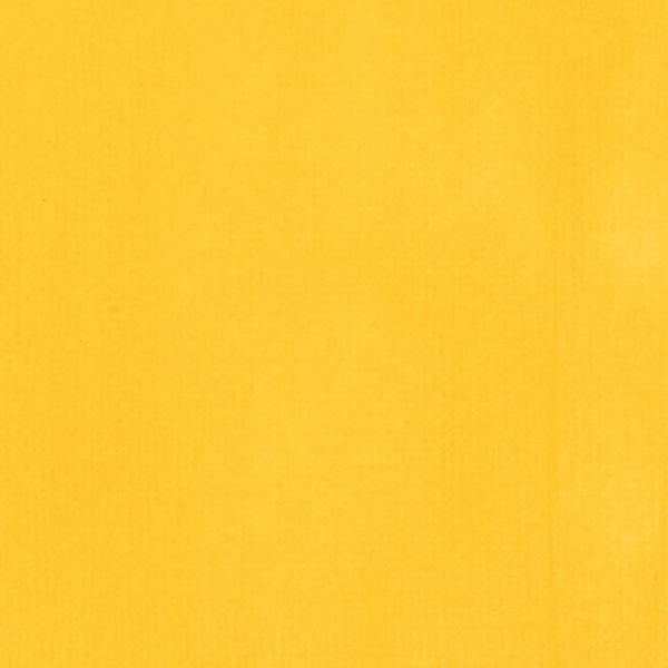 liquitex-professional-acrylic-ink-colore-acrilico-liquido-giallo-di-cadmio-chiaro-159-dettagli