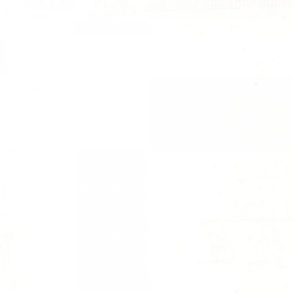 liquitex-professional-acrylic-ink-colore-acrilico-liquido-bianco-di-titanio-432-dettagli