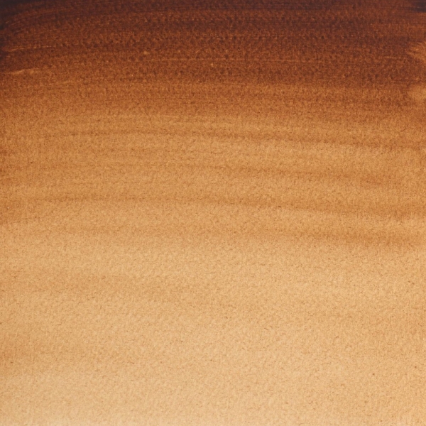 winsor-newton-professional-colore-ad-acquerello-mezzo-godet-terra-dombra-bruciata-076-dettagli