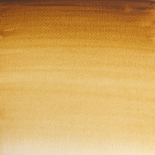 winsor-newton-professional-colore-ad-acquerello-mezzo-godet-terra-dombra-naturale-554-dettagli
