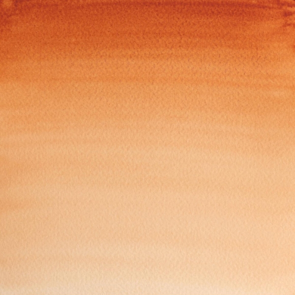 winsor-newton-professional-colore-ad-acquerello-mezzo-godet-terra-di-siena-bruciata-074-dettagli