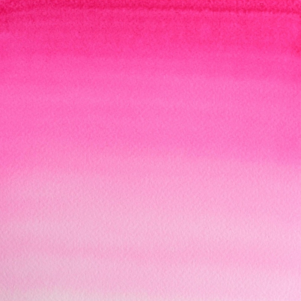 winsor-newton-professional-colore-ad-acquerello-mezzo-godet-fiore-di-rosa-opera-448-dettagli
