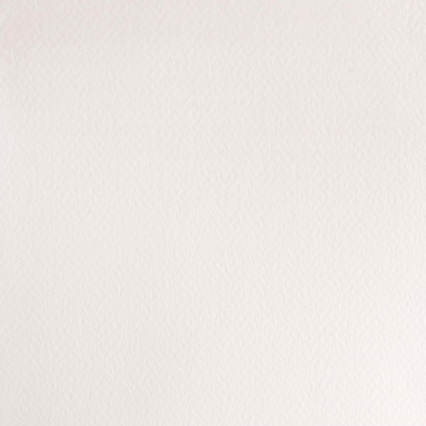 winsor-newton-professional-colore-ad-acquerello-mezzo-godet-bianco-di-cina-150-dettagli