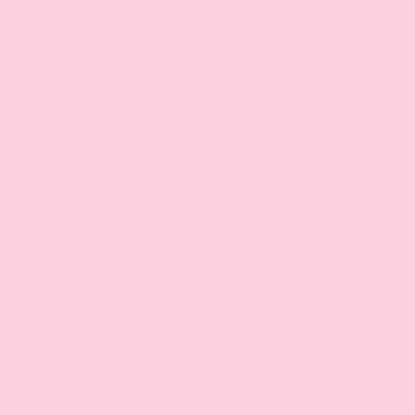 winsor-newton-promarker-pennarello-a-doppia-punta-pale-pink-r519-dettagli