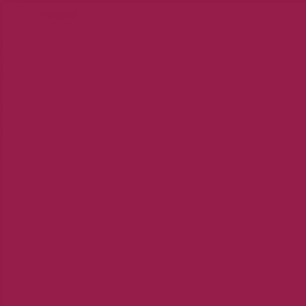 winsor-newton-promarker-pennarello-a-doppia-punta-burgundy-r424-dettagli