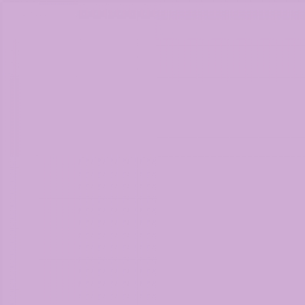 winsor-newton-promarker-pennarello-a-doppia-punta-orchid-v528-dettagli