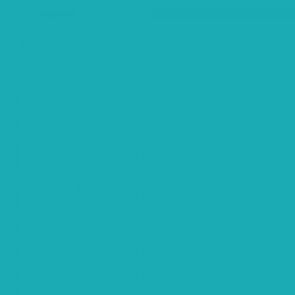 winsor-newton-promarker-pennarello-a-doppia-punta-turquoise-c247-dettaglio