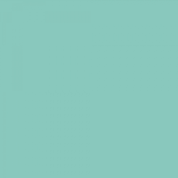 winsor-newton-promarker-pennarello-a-doppia-punta-soft-green-g817-dettagli