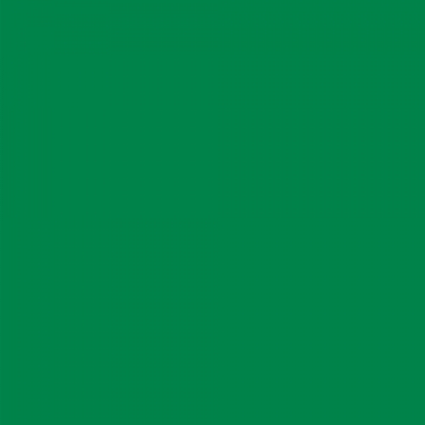 winsor-newton-promarker-pennarello-a-doppia-punta-lush-green-g756-dettagli