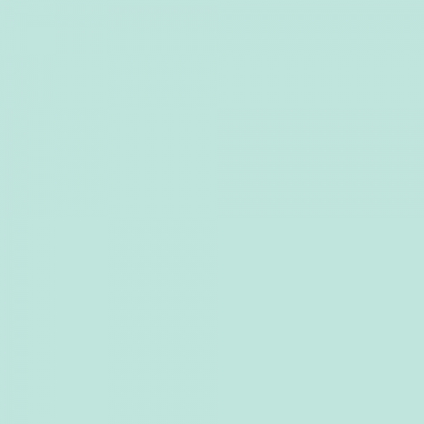 winsor-newton-promarker-pennarello-a-doppia-punta-pastel-green-g829-dettagli