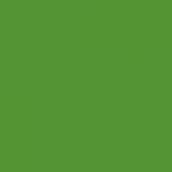 winsor-newton-promarker-pennarello-a-doppia-punta-forest-green-g356-dettagli