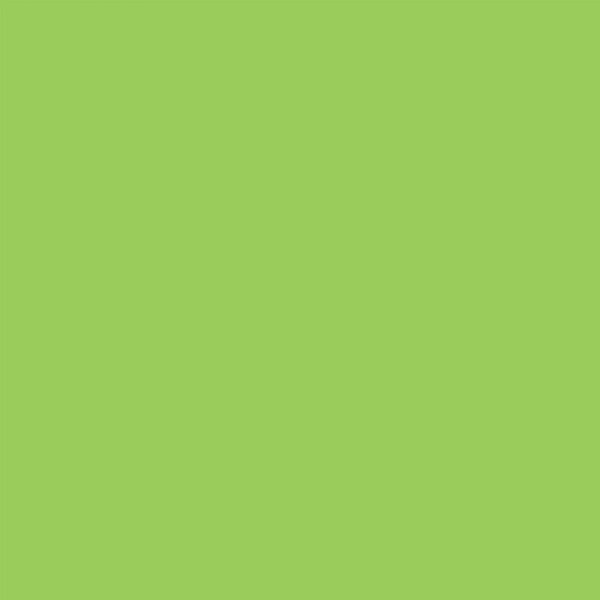 winsor-newton-promarker-pennarello-a-doppia-punta-leaf-green-g258-dettagli