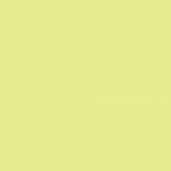 winsor-newton-promarker-pennarello-a-doppia-punta-lime-zest-g159-dettagli