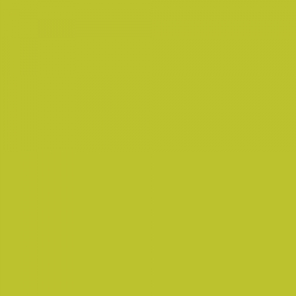 winsor-newton-promarker-pennarello-a-doppia-punta-pear-green-y635-dettagli