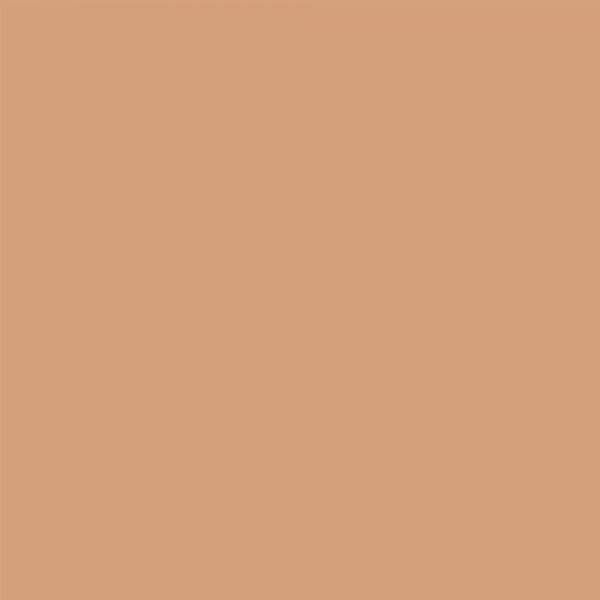 winsor-newton-promarker-pennarello-a-doppia-punta-cinnamon-o427-dettagli