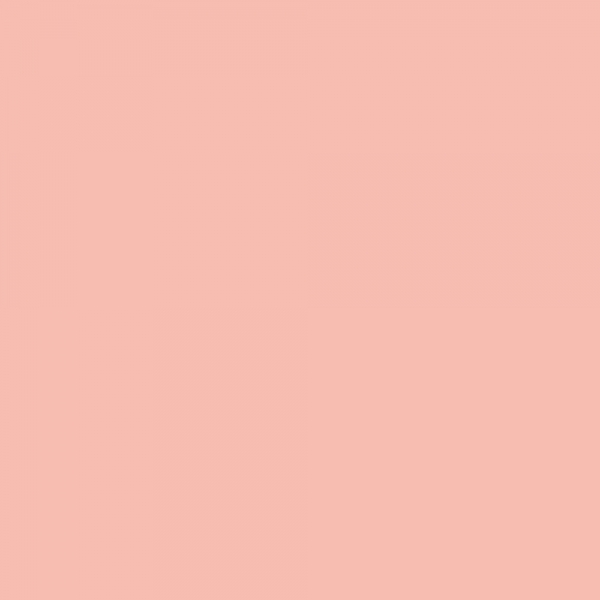 winsor-newton-promarker-pennarello-a-doppia-punta-soft-peach-o138-dettagli
