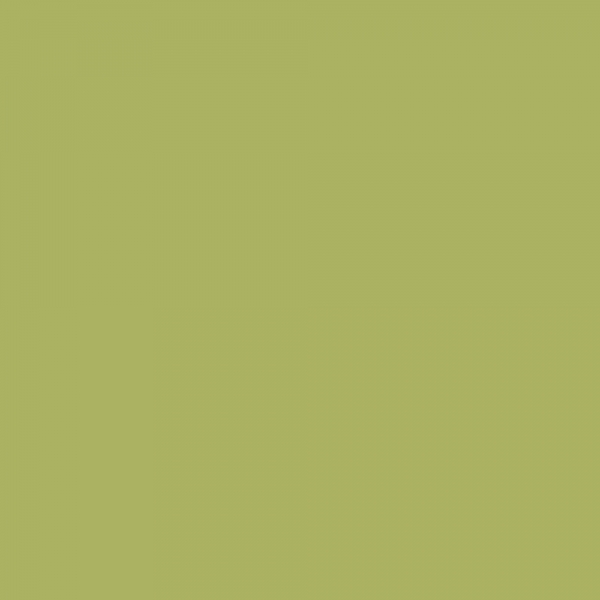 winsor-newton-promarker-pennarello-a-doppia-punta-marsh-green-g136-dettagli