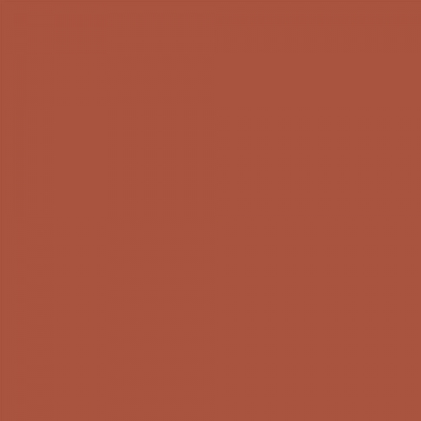 winsor-newton-promarker-pennarello-a-doppia-punta-burnt-umber-r646-dettagli
