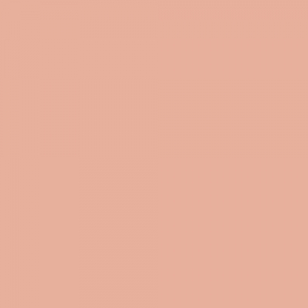 winsor-newton-promarker-pennarello-a-doppia-punta-tan-o528-dettagli