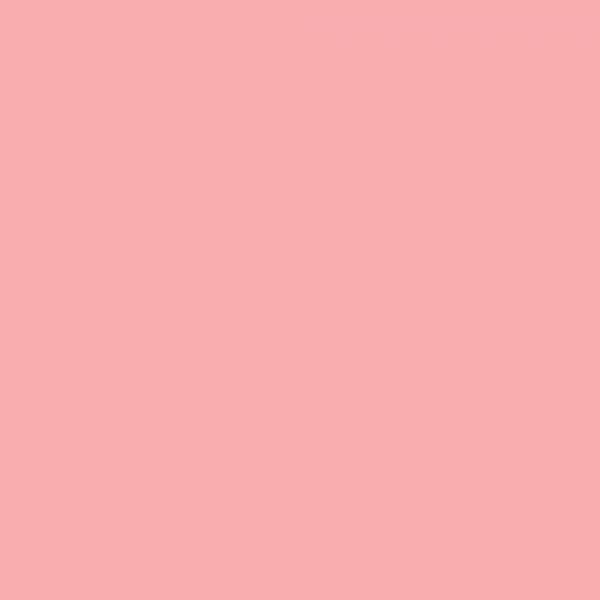 winsor-newton-promarker-pennarello-a-doppia-punta-cocktail-pink-r438-dettagli