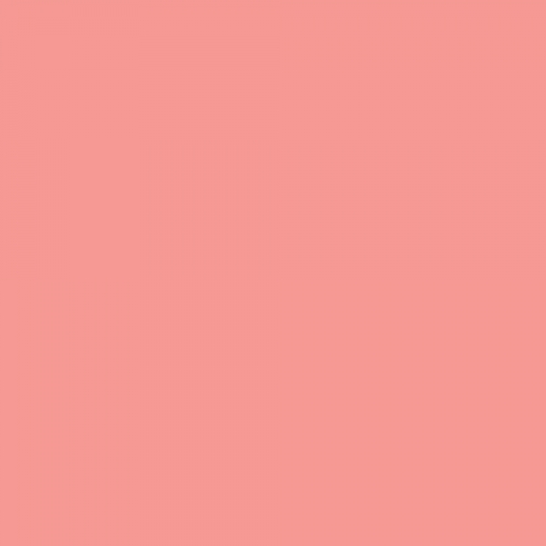 winsor-newton-promarker-pennarello-a-doppia-punta-salmon-pink-r547-dettagli