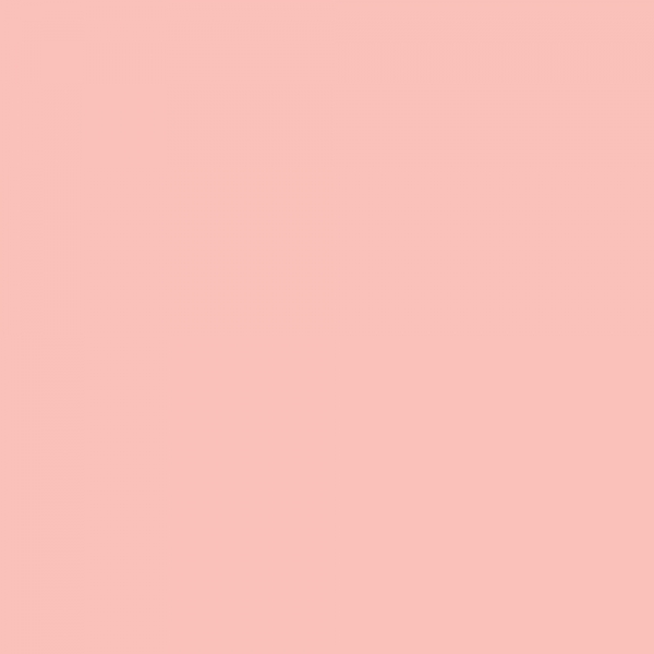 winsor-newton-promarker-pennarello-a-doppia-punta-pastel-pink-r738-dettagli