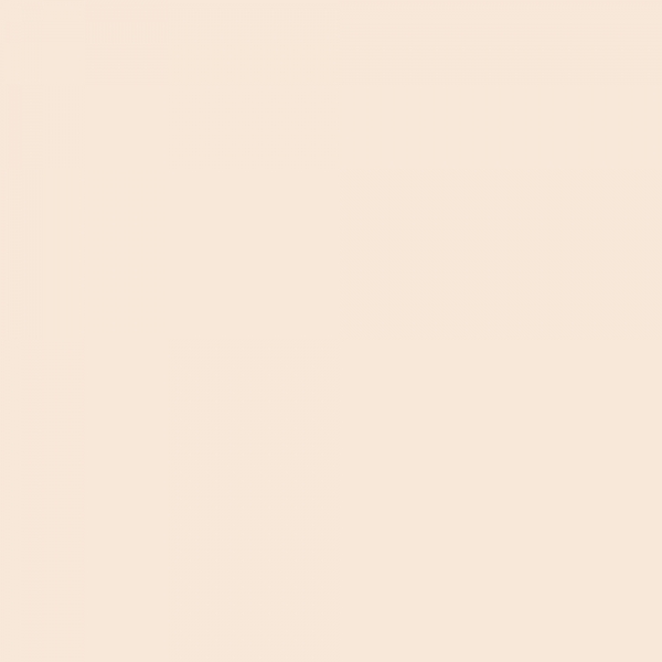 winsor-newton-promarker-pennarello-a-doppia-punta-almond-o819-dettagli