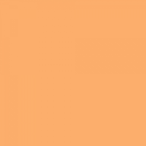 winsor-newton-promarker-pennarello-a-doppia-punta-apricot-o538-dettagli
