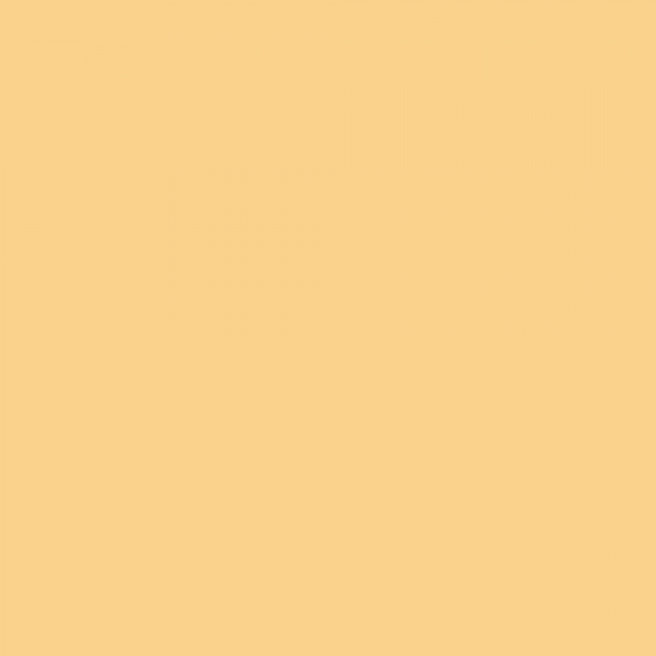 winsor-newton-promarker-pennarello-a-doppia-punta-pastel-yellow-o949-dettagli