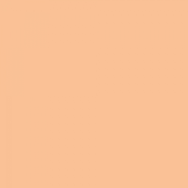 winsor-newton-promarker-pennarello-a-doppia-punta-oatmeal-o628-dettagli