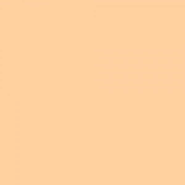 winsor-newton-promarker-pennarello-a-doppia-punta-saffron-o739-dettagli