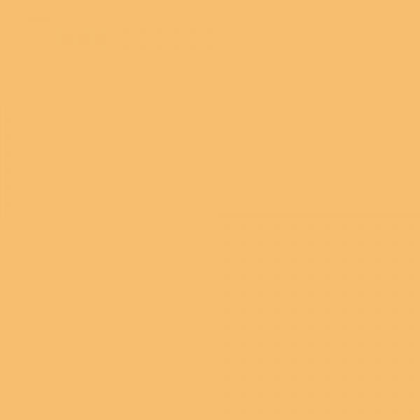 winsor-newton-promarker-pennarello-a-doppia-punta-mustard-o948-dettagli