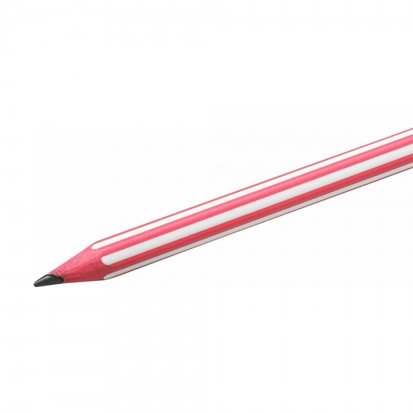 bic-matita-in-grafite-evolution-stripes-hb-con-gomma-dettagli-1