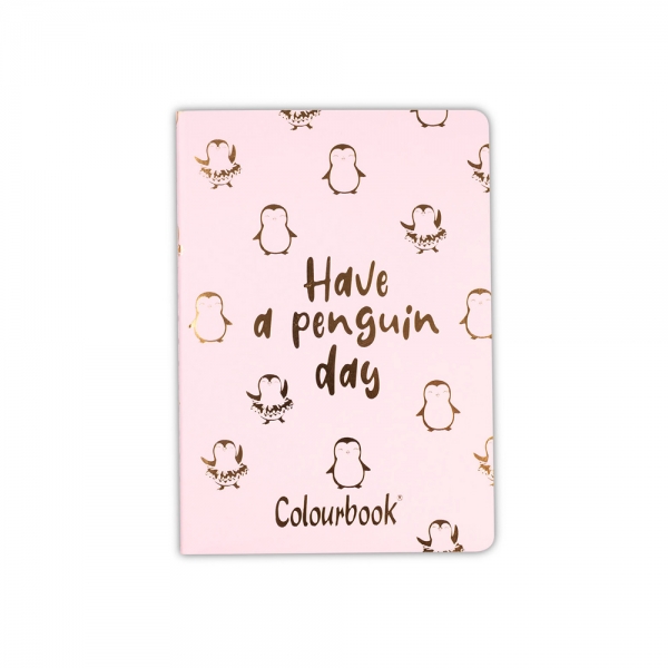 colourbook-3-mini-taccuini-a-righe-a6-paper...ini-pinguini